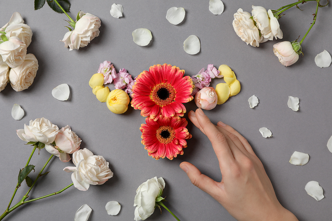 Flowers arranged in the shape of a uterus for menopause support